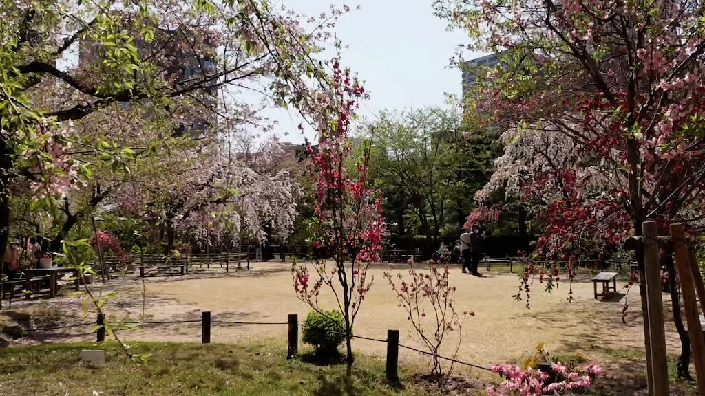 【広島観光】広島駅前の観光にもおすすめ。縮景園は季節の花や古民家が楽しめる庭園です。